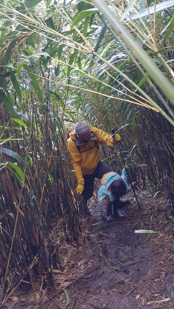 阿興阿賢小觀音山_562666