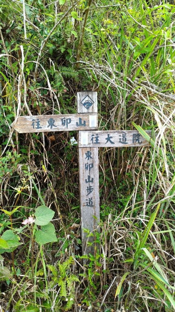 谷關七雄~東卯山_292115