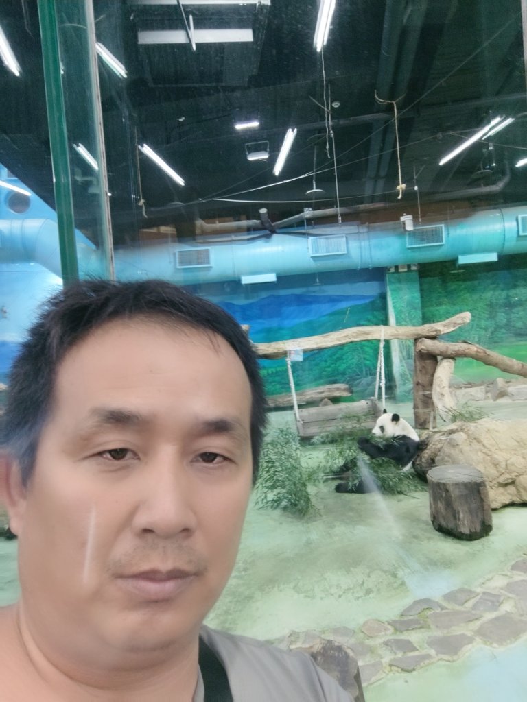 台北動物園_2664059