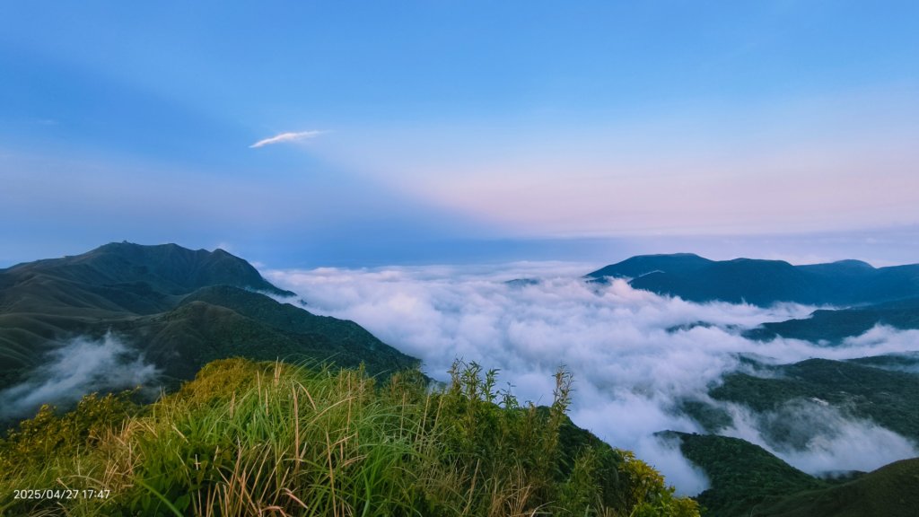 陽明山趴趴走 #琉璃光雲海 ，首拍 #綠鳩 4/27_2772179