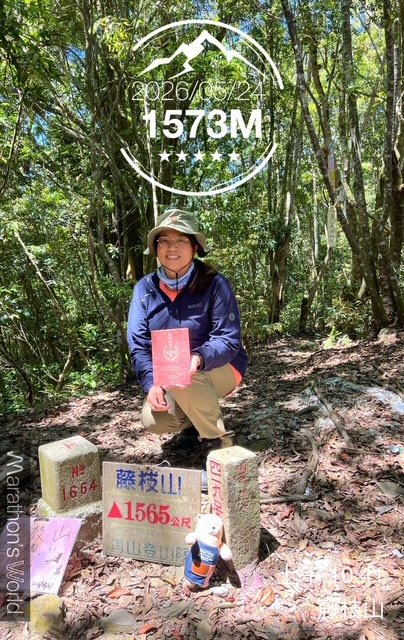 藤枝山封面圖