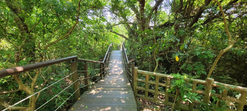柴山登山步道_1454383