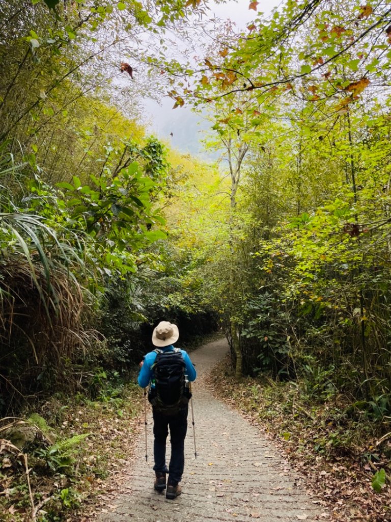 1120225關仔嶺 雞籠山_2042099