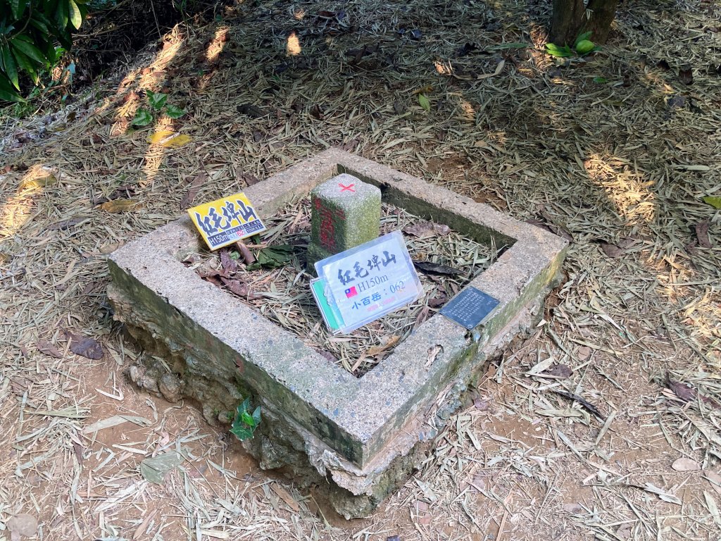 紅毛埤山(蘭潭後山步道)_2653299