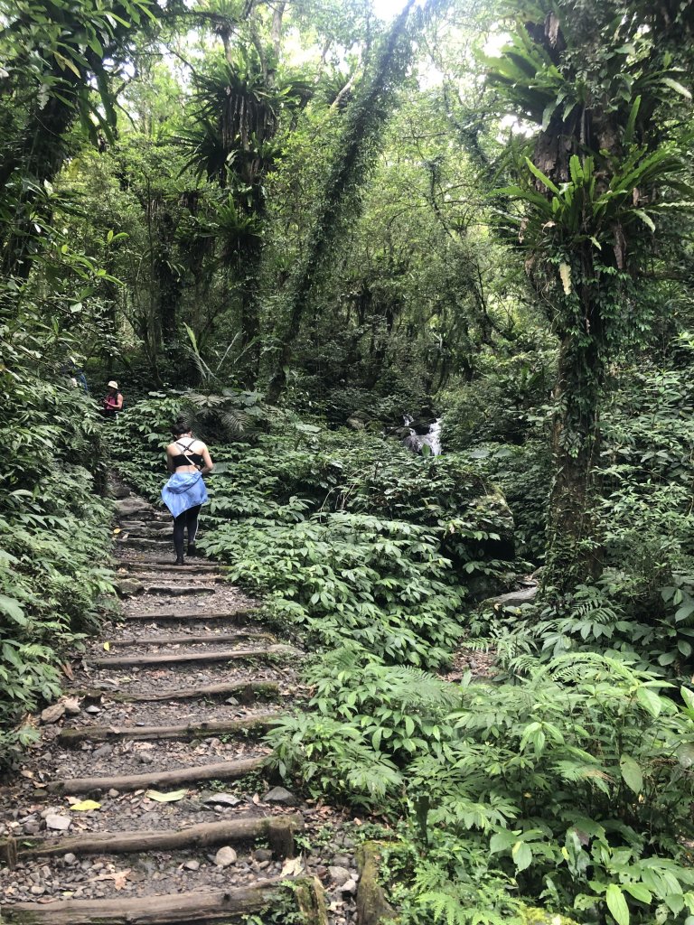 【宜蘭礁溪】抹茶山~超消暑聖母登山步道_640581