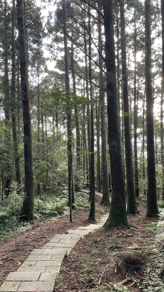 桃園-高遶溪古圳-天空吊橋-高遶溪瀑布-優霞雲瀑布-庫志溪畔步道-東眼山_2969172