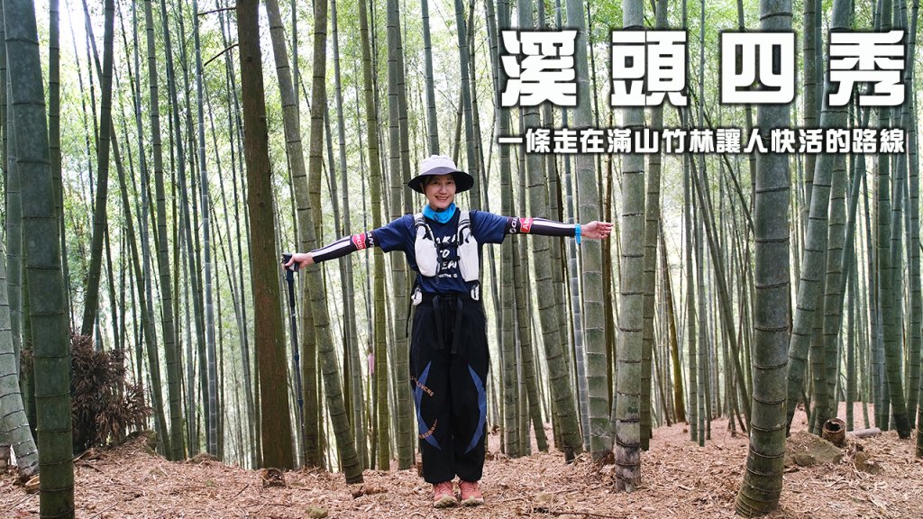 溪頭四秀封面圖