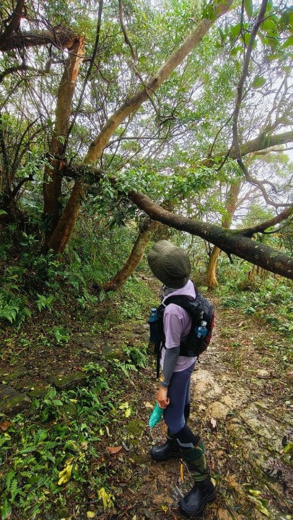 天上山雨中漫步封面圖