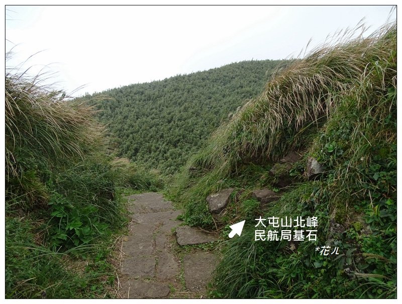 大屯主峰步道(小百岳)_2384939