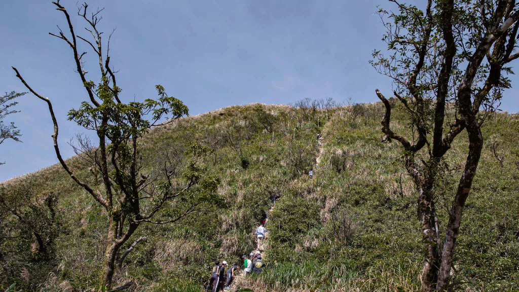 三角崙山-四歲小樂的第36座小百岳_1281058