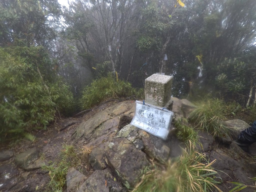 2018.04.07復興三尖-那結山_1005332