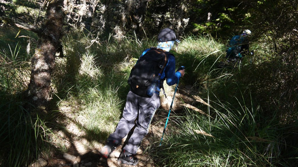 池有山單攻登山健行趣(百岳52)_1515201