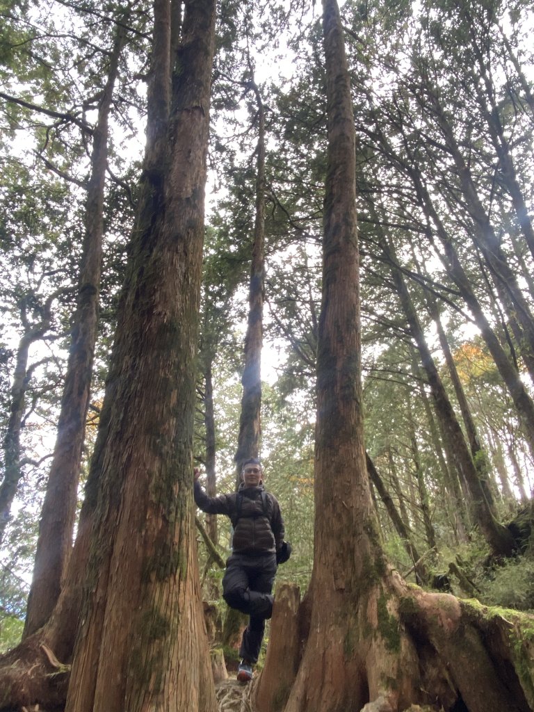 大塔山封面圖