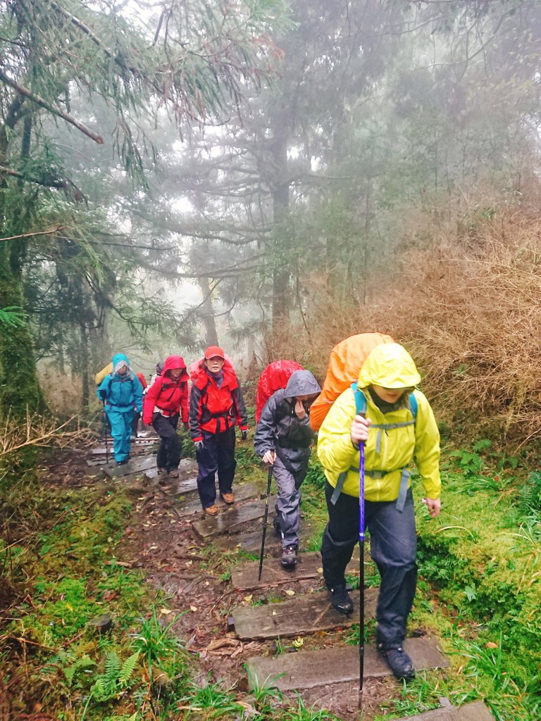 加羅湖--201902_530998