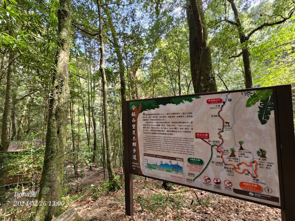 鎮西堡巨木群步道o型全程一日遊_2440338
