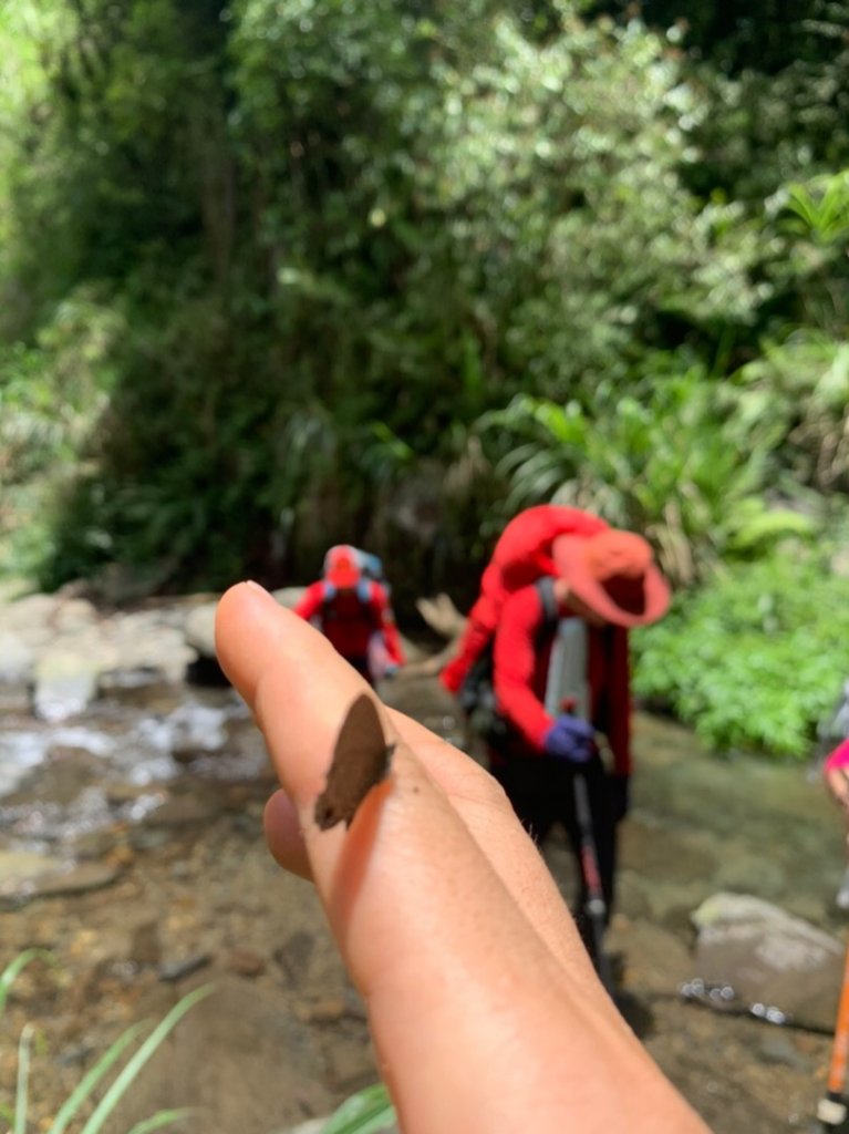 哈盆野營_1025253