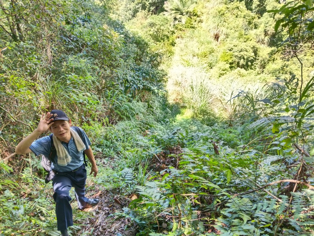 平溪區石古井古道(新路徑)+青林山+盤山坑古道O型封面圖