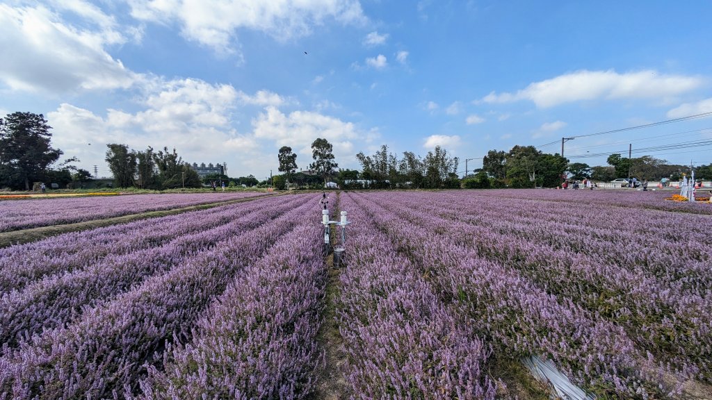 桃園仙草嘉年華,富岡老街封面圖