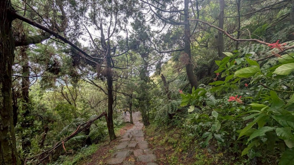 114.11.01旅聯網21週年活動之七星山-七星山東峰-七星公園-夢幻湖_2928951