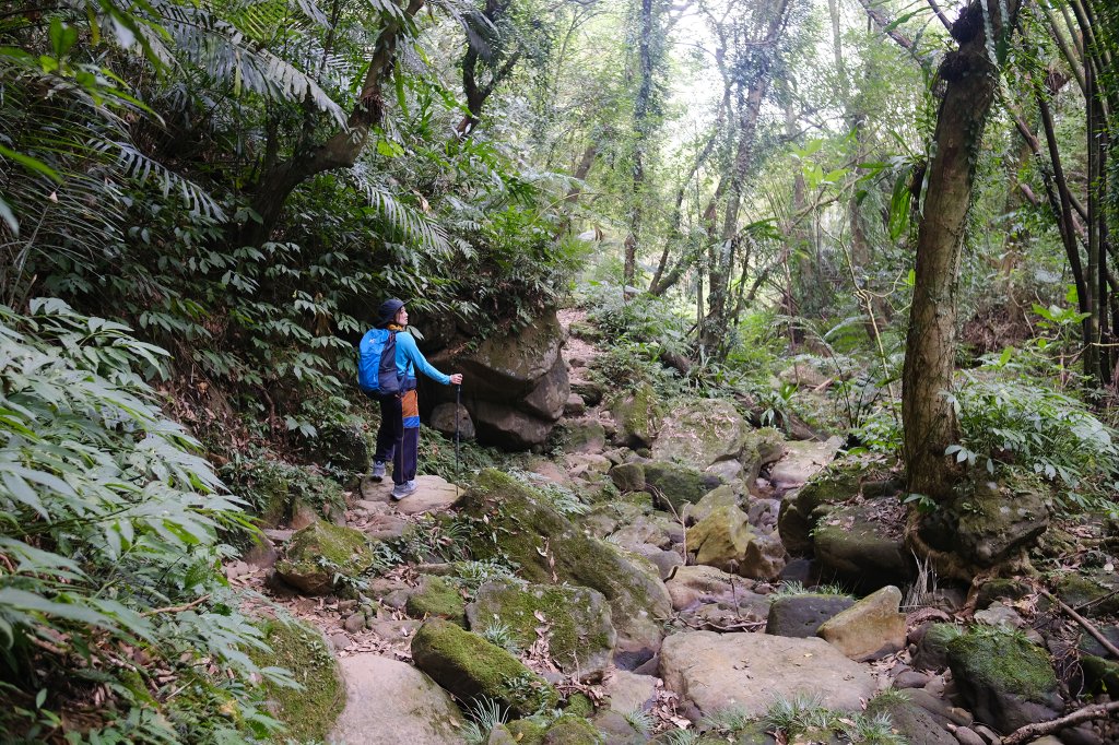 雙石縱走_2771126