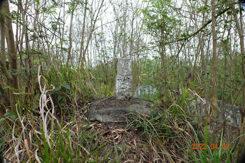 臺南 關廟 大潭山_1663575