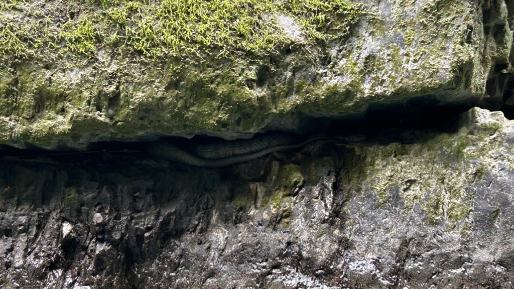 烏來卡拉莫基_2972118