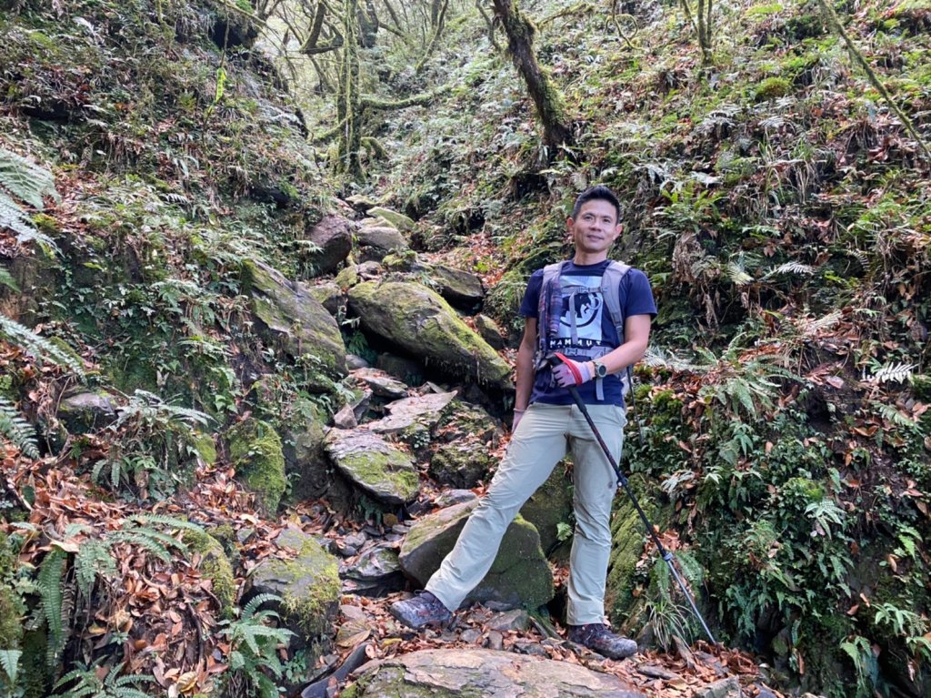 北插天山.赫威山.多崖山.神木群【天堂與地獄並存的神級路線】_2390734