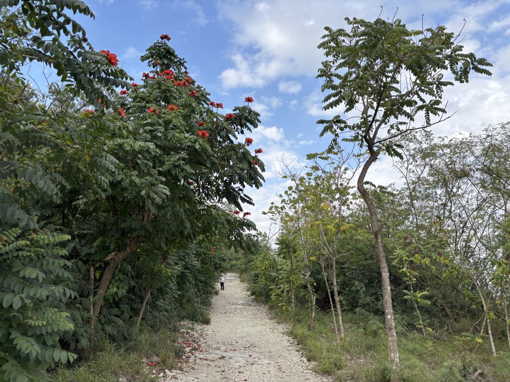 左營半屏山_2748045