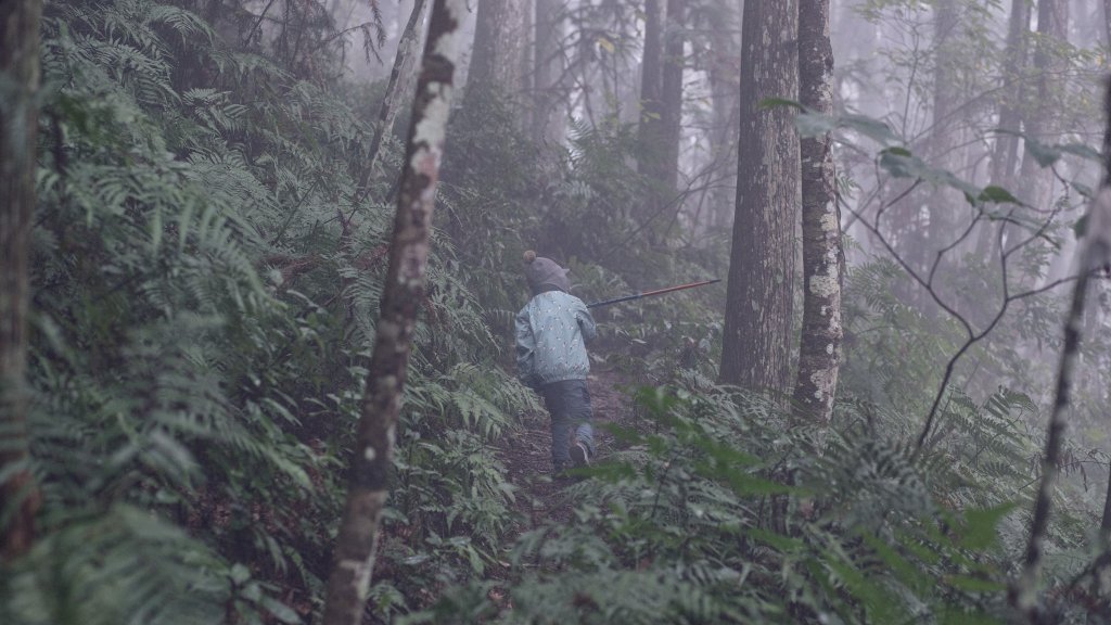寒流中的一千公尺攀升。芝生毛台山_1960257
