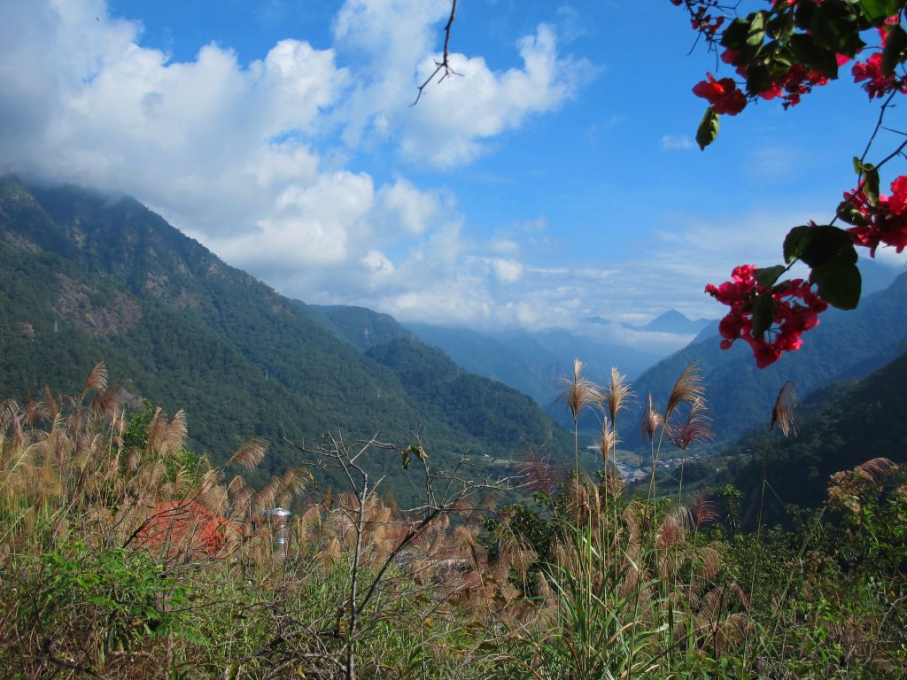 四壯士神木步道x阿冷山(北北峰)封面圖