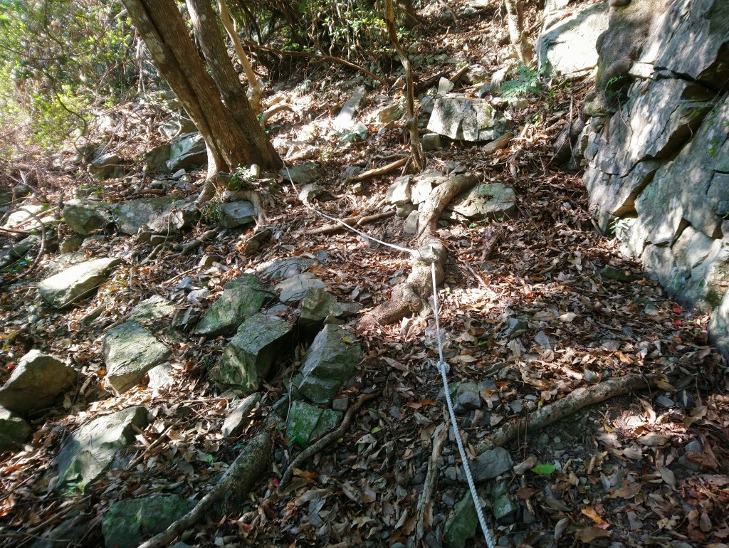 屋我尾山(麗陽線)_821148