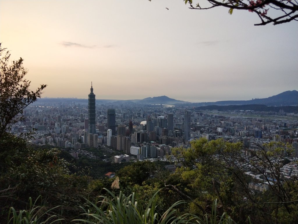 南港山縱走親山步道(拇指山、南港山、象山、九五峰)_1820258