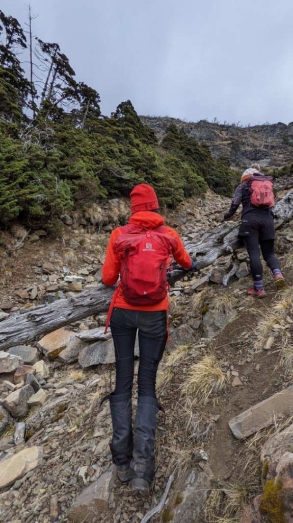 一日志雪_1406530