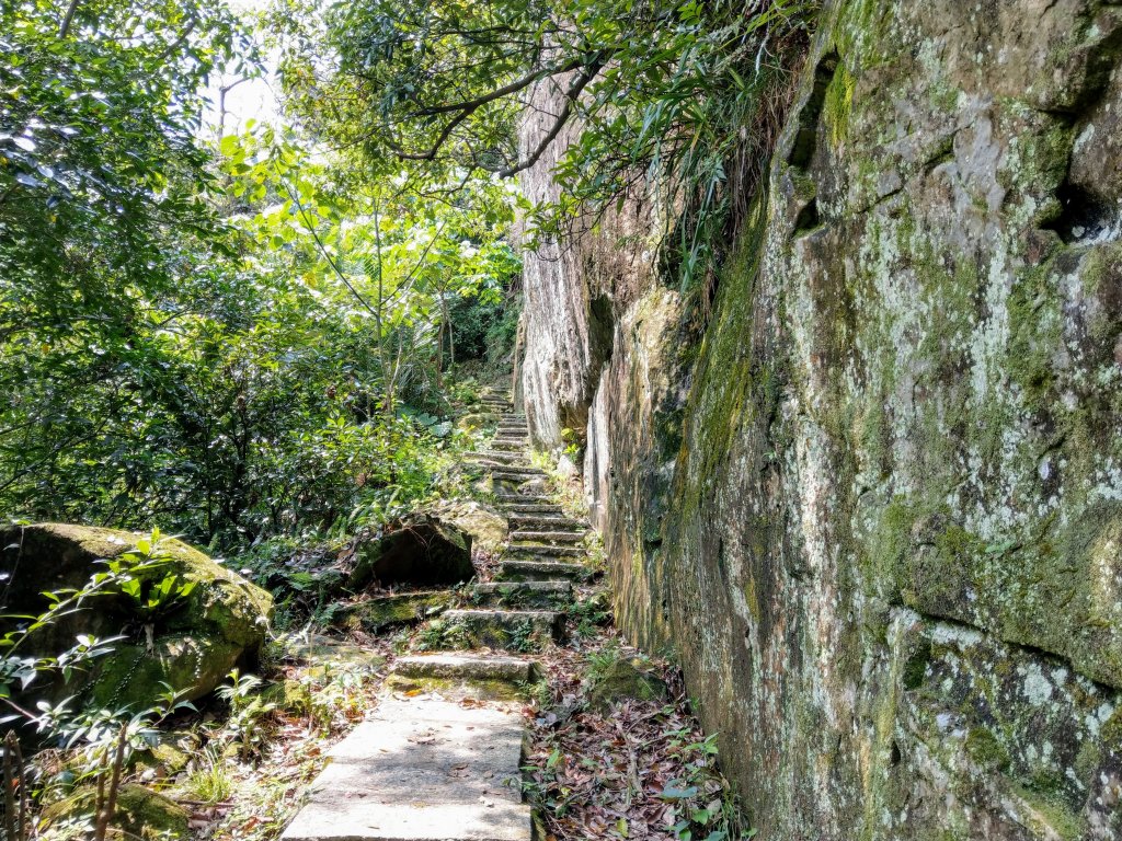 新店小獅山訪11座涼亭縱走待老坑山尋山頭_902132