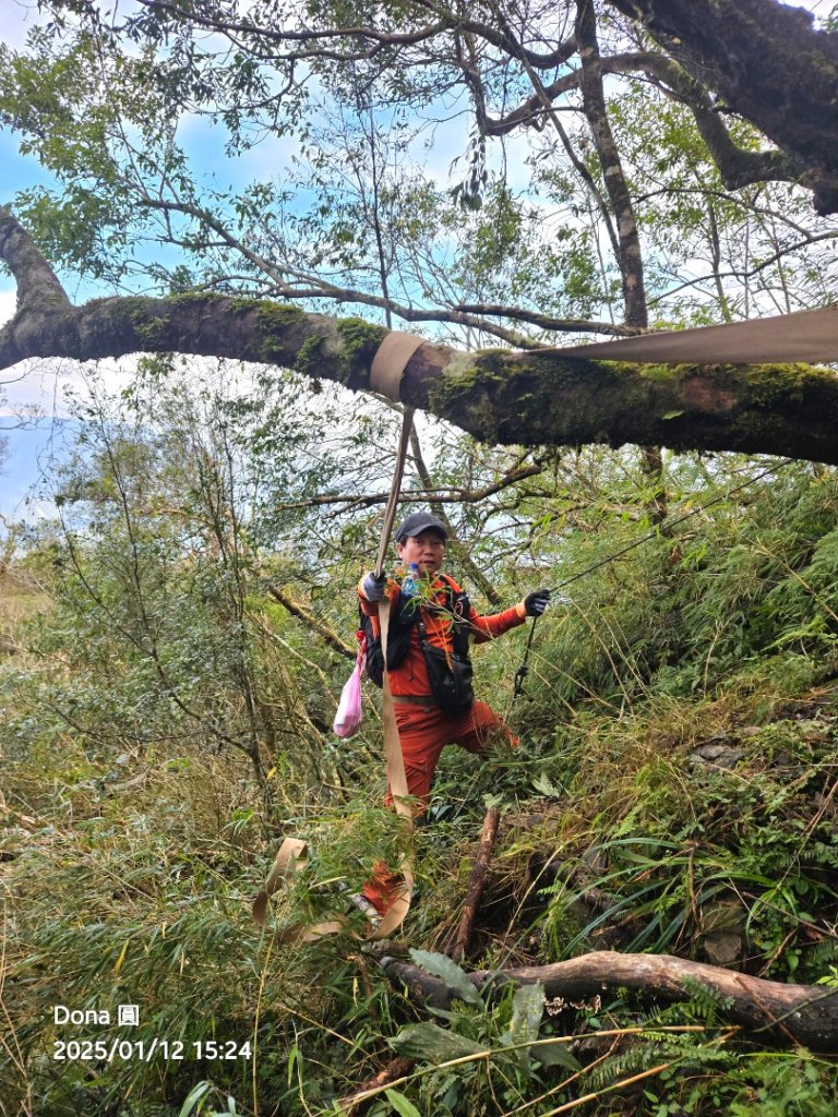 【北插天山】福山上北插天山(整理山徑架繩索布條完工)_2689774