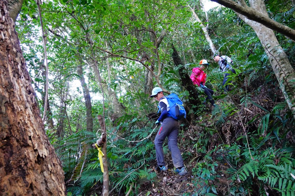 山羊洞連走筆架連峰O型_882504