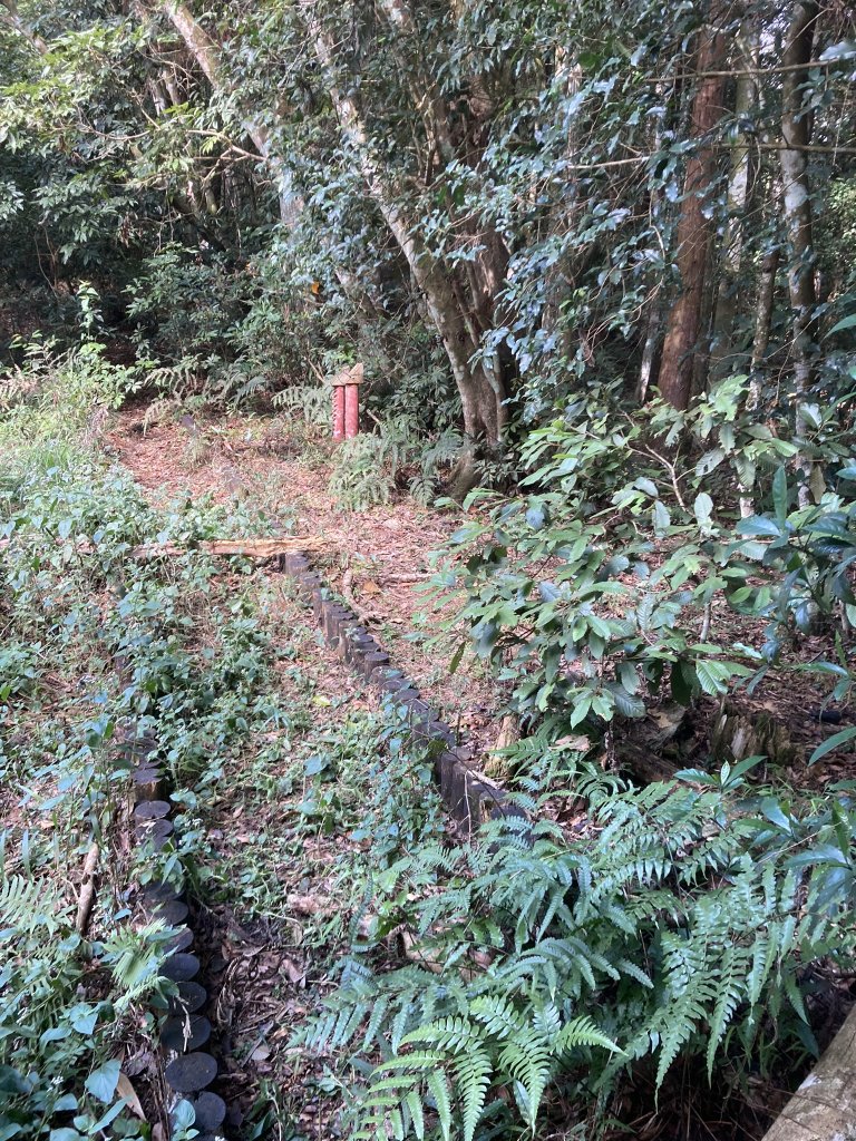 20231118-19六龜警備道_藤枝段_2353025