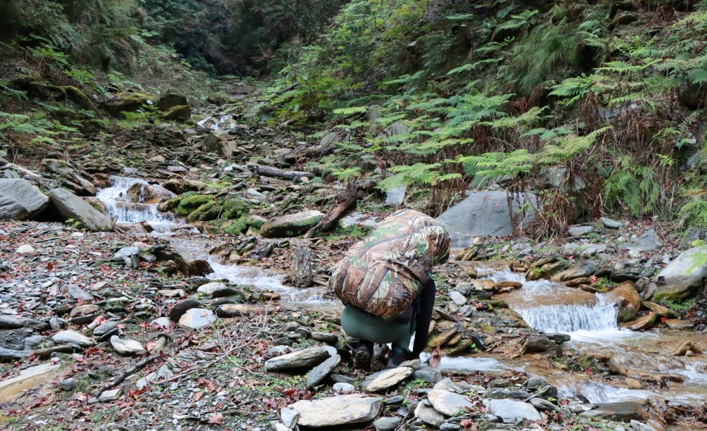 鳥山更鳥：盆駒西稜上馬博拉斯山_1988161