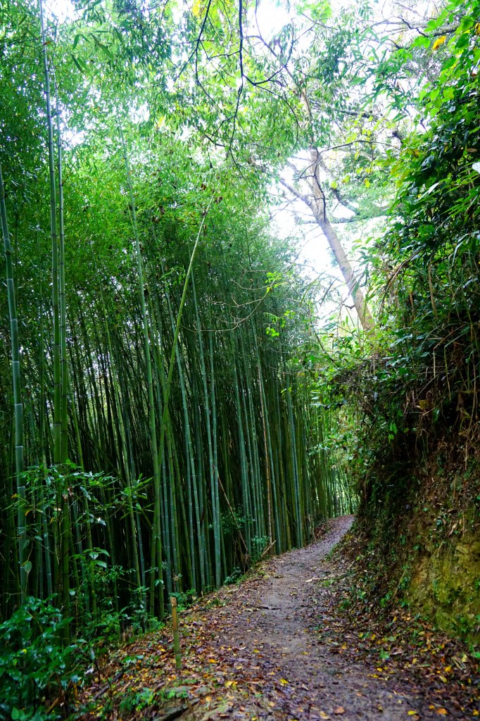 霞喀羅古道養老段_500511