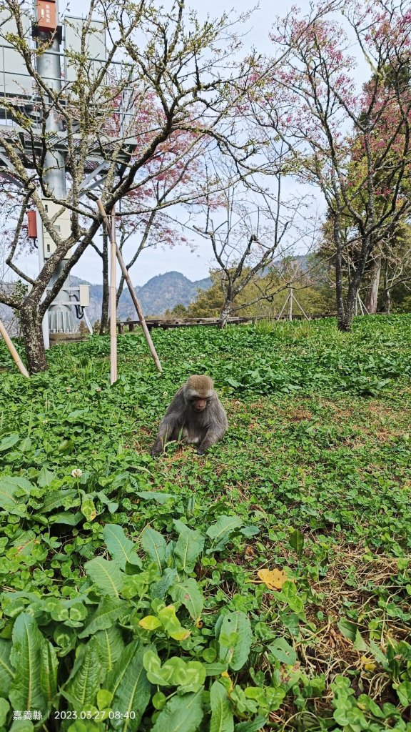 2023尋訪消失的眠月線聚焦失落沉寂的百年鐵道之旅_2109989