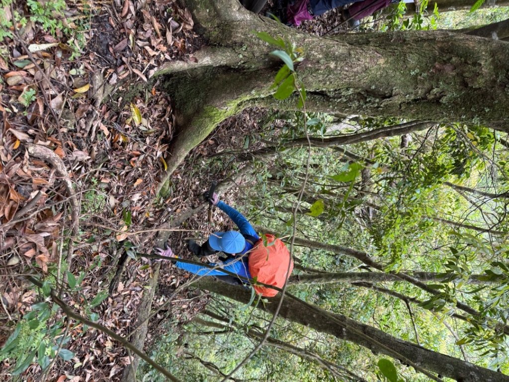 桂山路197巷 》呂奔山北峰 》呂奔山 》阿玉壩_2755814