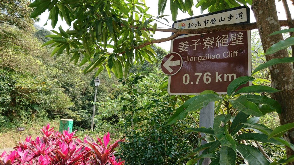 姜子寮山步道&姜子寮絕壁步道_549600