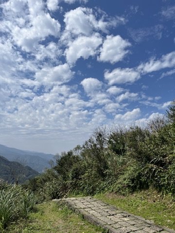 20250302基隆山步道_2755463