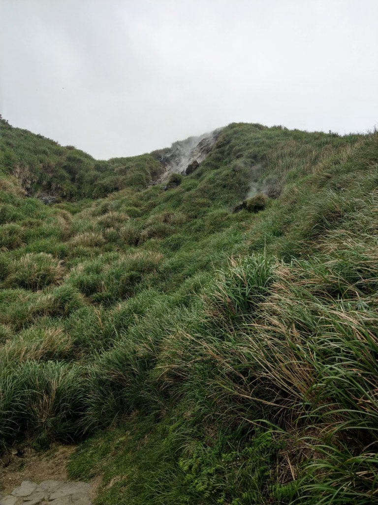 苗圃登山口上七星山(小百岳#2)連五峰_925206