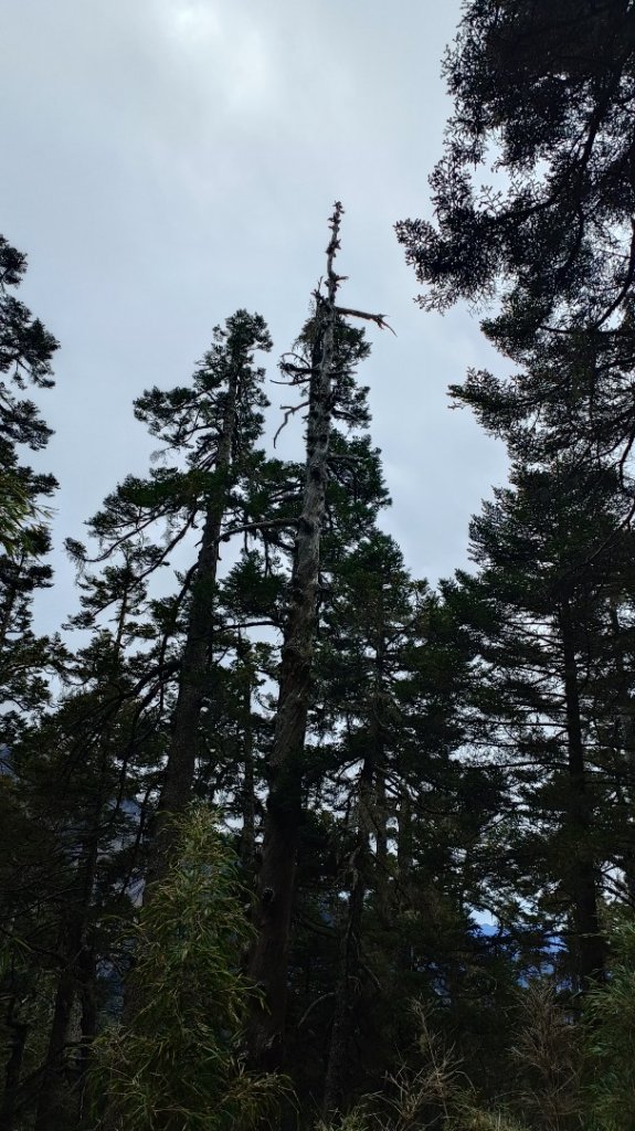 玉山南峰_2116626