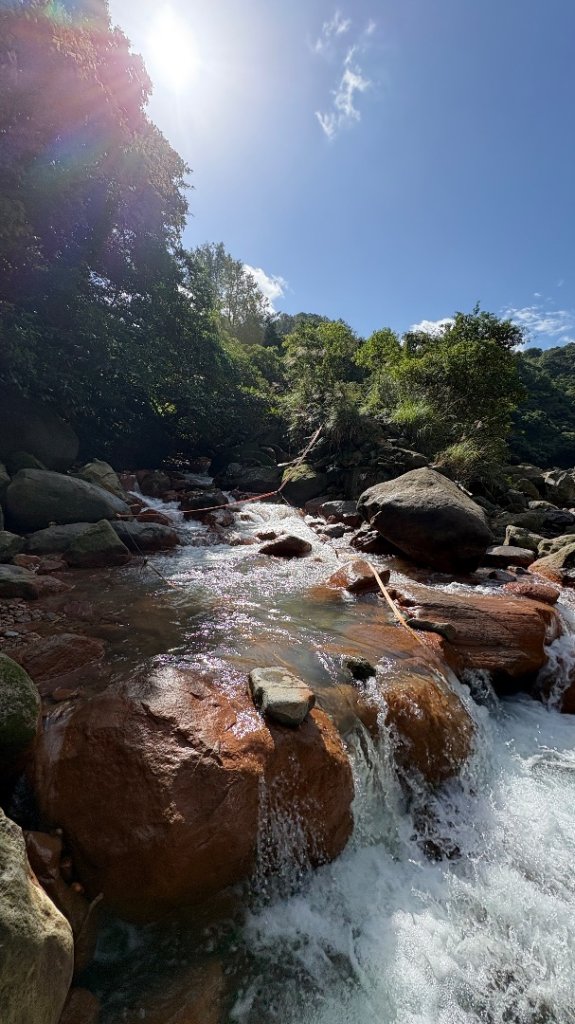 漫遊陽明山_2952051