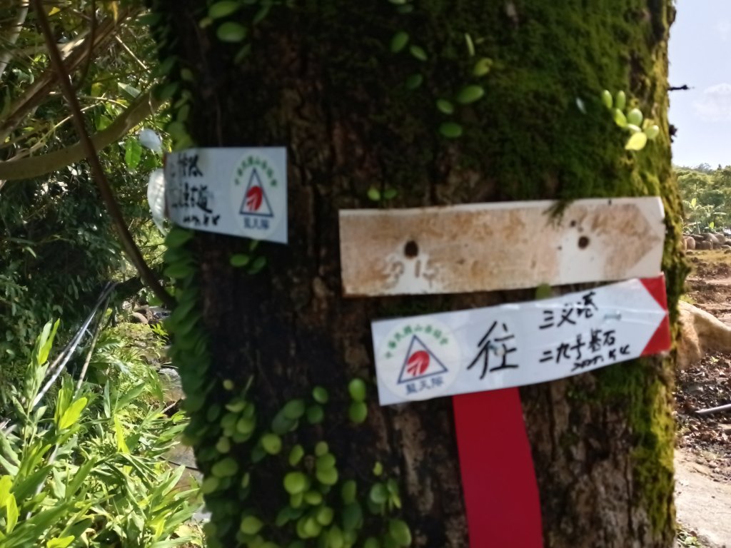 雙溪區三叉港+遠景古道+楊廷理古道+雞母嶺街O型_2758619