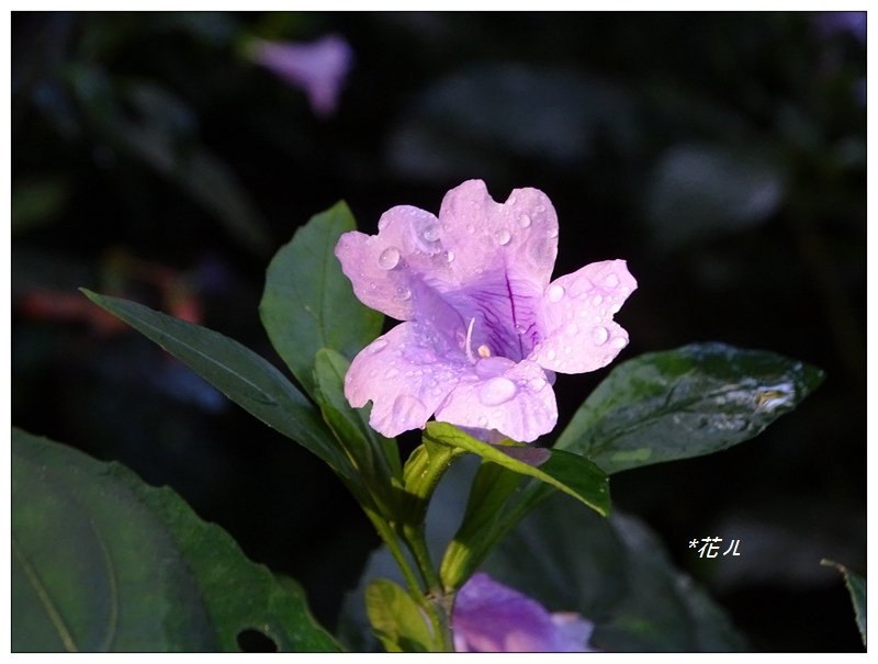 華山/3號好漢步道_781450