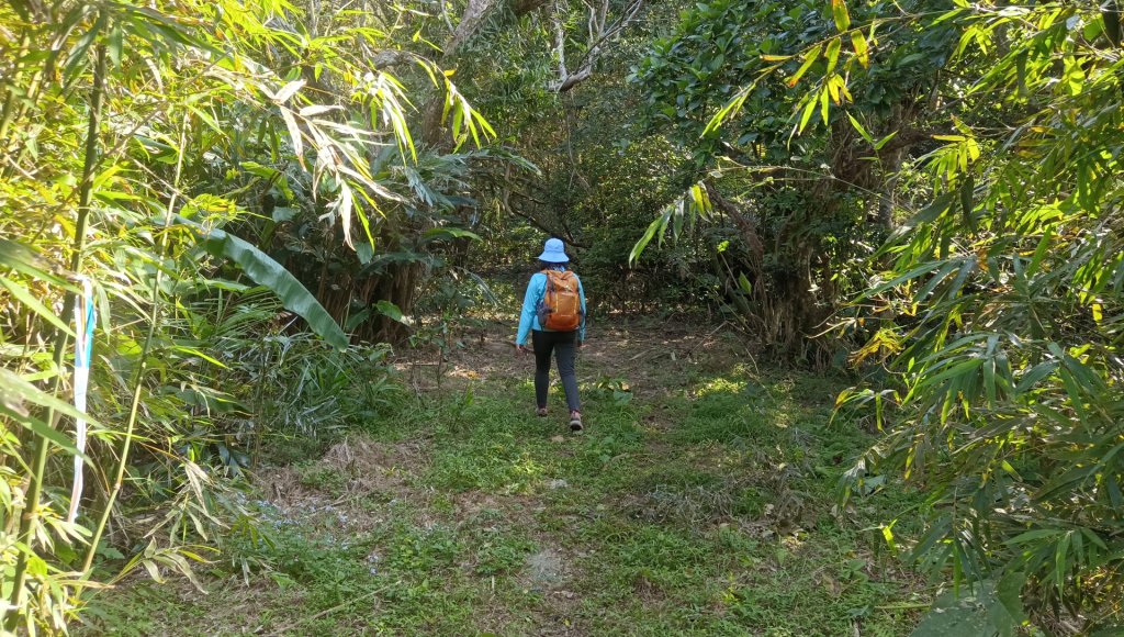 (姨婆趴趴走)第四十九集:攀登連走宜蘭梗枋山、橋板湖山_2747713