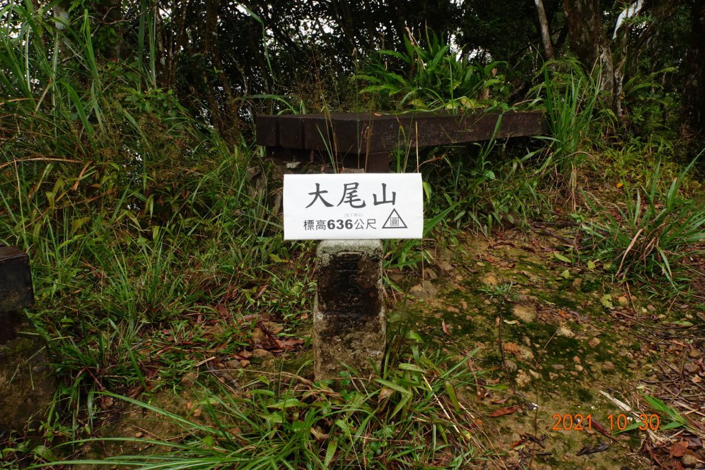 新北 坪林 大尾山(鬼子瀨尖山)封面圖